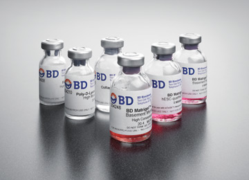 BD Matrigel基質膠
