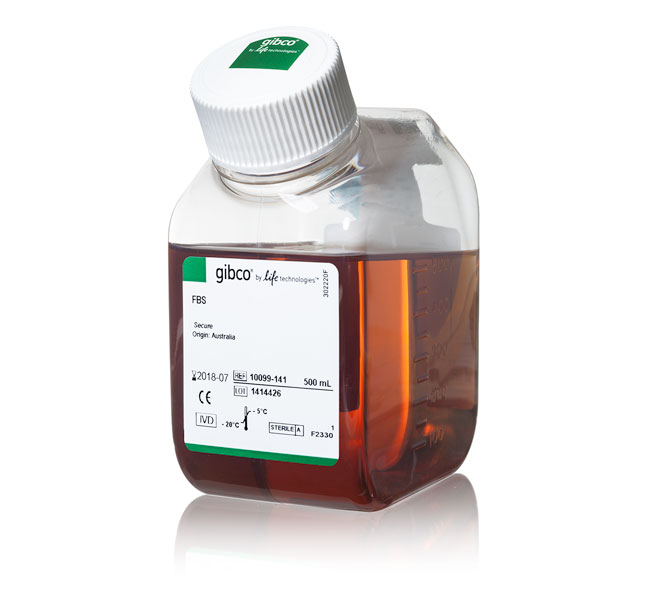 Gibco 澳洲特級胎牛血清FBS